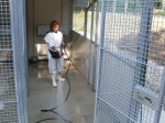  operatore del canile durante la fase di lavaggio della zona giorno del box cani